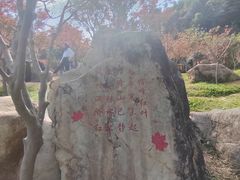 -广州市帽峰山景区