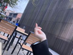 -两棵枇杷树