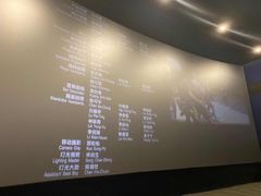 -汉阳天河电影城(王家湾店)