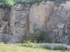 -原山国家森林公园