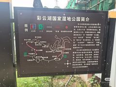 -重庆彩云湖湿地公园