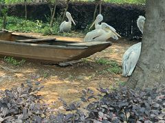 -无锡动物园·太湖欢乐园
