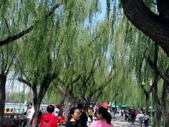 -迎泽公园