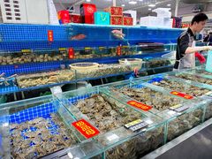 -三旗百汇商品城