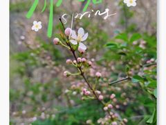 -崂山九水游览区