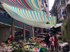 -镇龙山国家森林公园