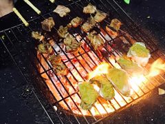 -西涌国际滨海旅游区