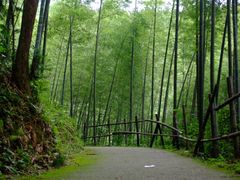 -千泷沟大瀑布旅游区