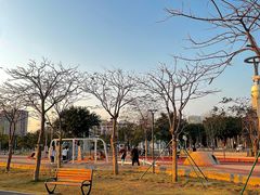 -华侨公园