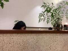 -肥朵食堂(带梦胡同店)