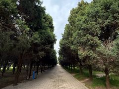 -秦始皇帝陵博物院-丽山园