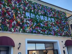 -枫叶小镇奥特莱斯
