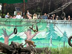 -西安秦岭野生动物园