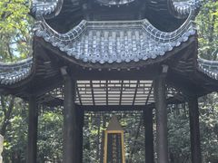 -云龙山