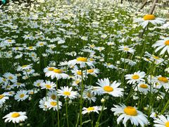 -四里河滨水生态公园