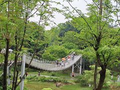 -东莞植物园
