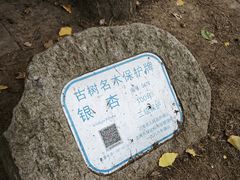 -汇龙潭