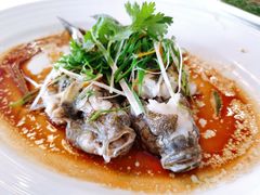 清蒸野生笋壳鱼-叙兴楼(礼东财记农庄分店)