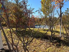 -回龙观体育文化公园