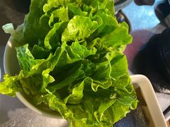 生菜-我们家韩国烤肉8号店(郫都店)
