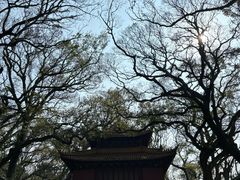 -普陀山风景名胜区-法雨禅寺