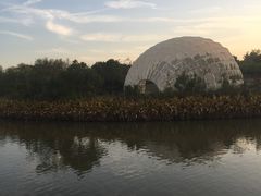 -吴淞炮台湾湿地森林公园烧烤区