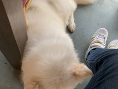 -阿尔法海鲜排档(爱琴海店)