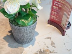 -三生三味密宗川菜(来福士店)