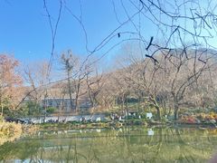 -绿茶餐厅(龙井船宴· 品牌总店)