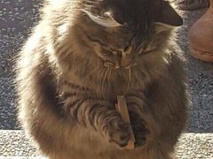 -梁记肥肠粉(宽窄巷子店)