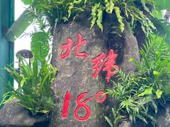 -呀诺达热带雨林