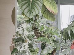 -棕榈岛海鲜自助餐厅(虹桥迎宾馆店)