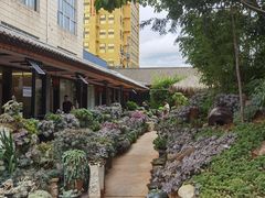 -山菌美食苑(振兴路店)