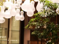 -JW酒廊 JW Lounge(上海鲁能JW万豪侯爵酒店)
