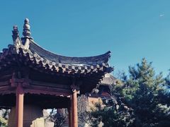 -善化寺