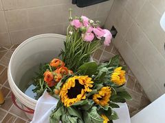 -盒马鲜生(红莲店)