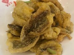 -丰收日(五角场店)