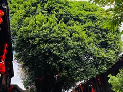 -赵记传承·中国甜品(福州总店)