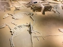 -洛阳周王城天子驾六博物馆