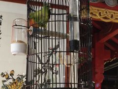 -清真·京华源铜锅涮肉(丰庆店)