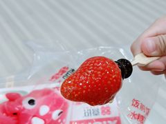 -喜识·冰糖葫芦·炒酸奶(正佳广场店)