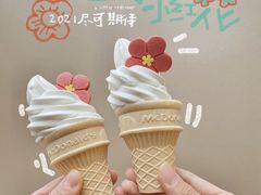 -麦当劳(东苑丽宝商业广场店)