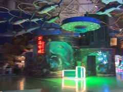 -烟台海昌鲸鲨海洋公园