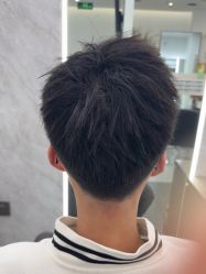 -YESIDO椰岛造型