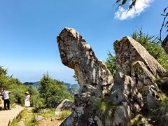 -秦岭风景区