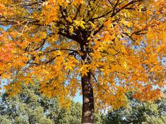 -南京市江宁方山