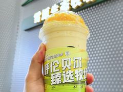 -茉酸奶(春熙路店)