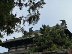-隆兴寺