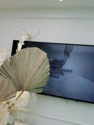 -YESIDO椰岛美容