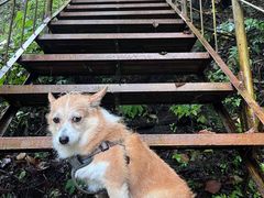 -青峰峡国家森林公园